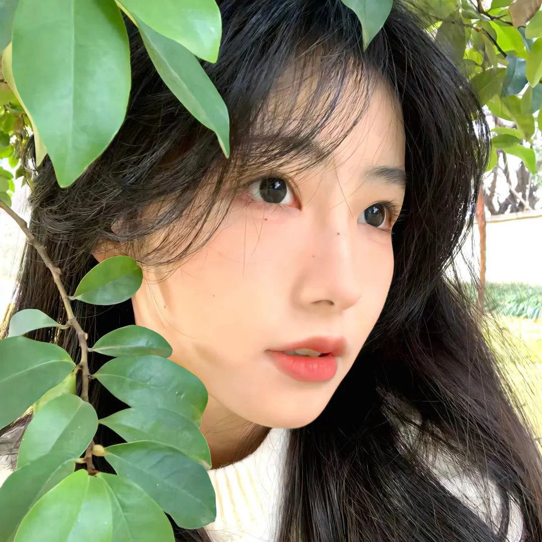 盗贼泰瑞莎