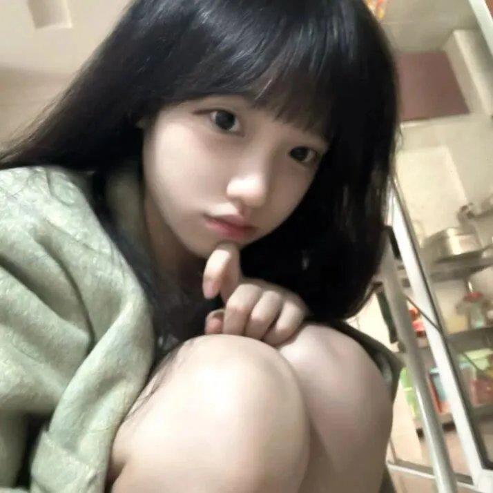 飞燕迎春