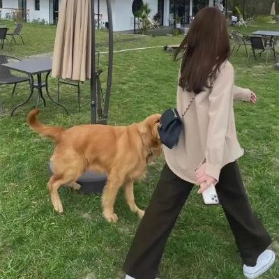 家族情仇
